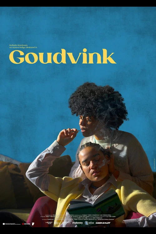 Goudvink постер