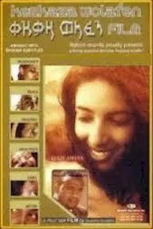 ቀዝቃዛ ወላፈን постер