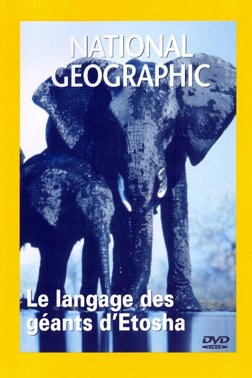 Elephants : Giants of Etosha постер
