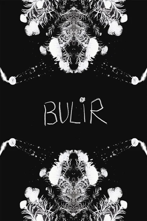 BULIR постер