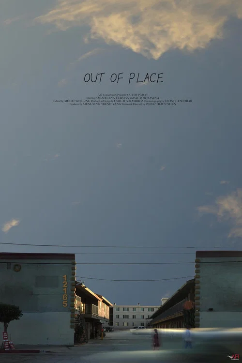 Out of Place постер