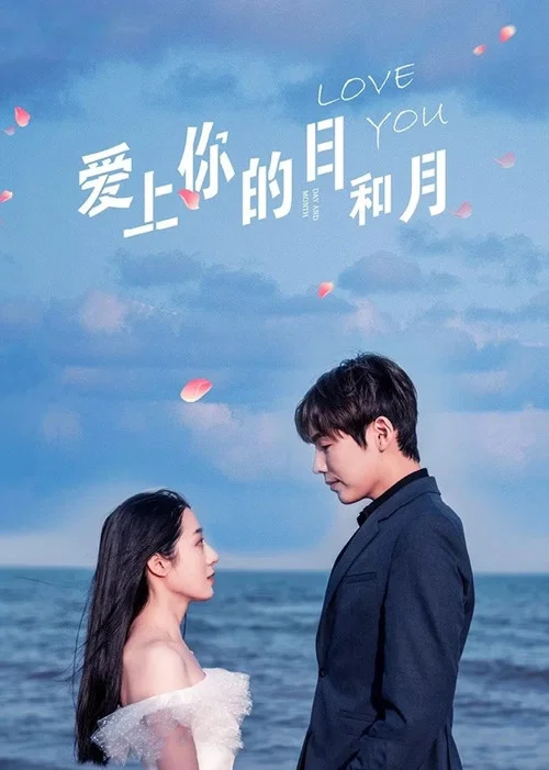 爱上你的日和月 постер
