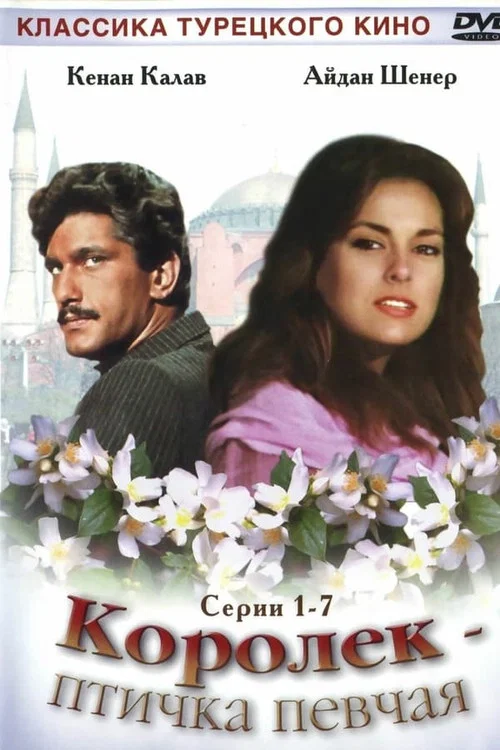 Королёк – птичка певчая постер