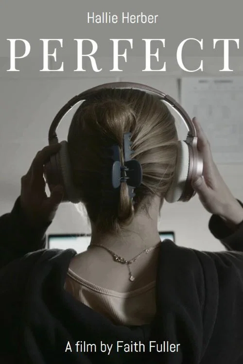 Perfect постер