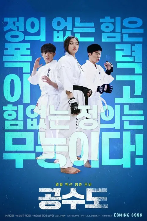 공수도 постер