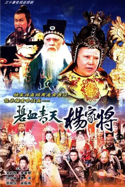 碧血青天楊家將 постер