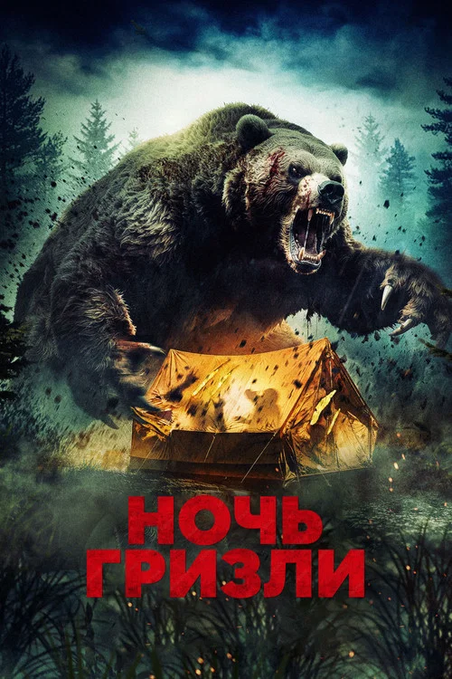 Ночь гризли постер
