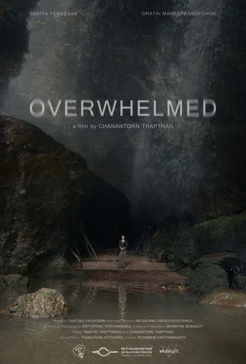 OVERWHELMED постер