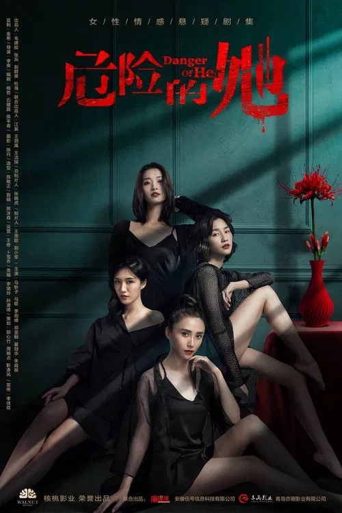 危险的她 постер