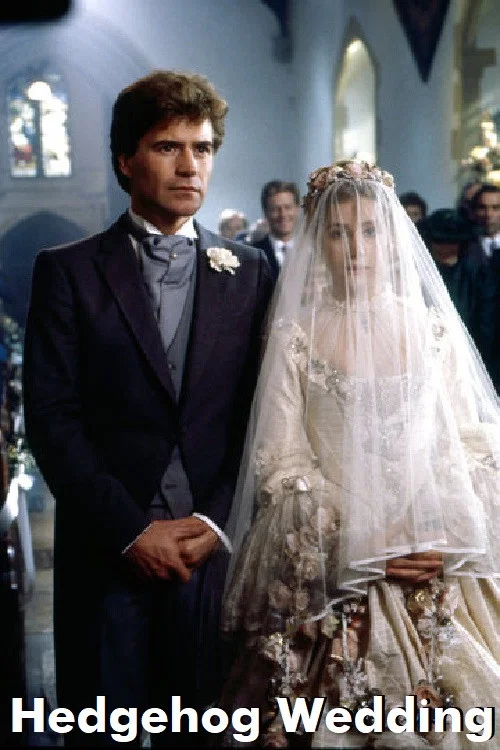 Hedgehog Wedding постер