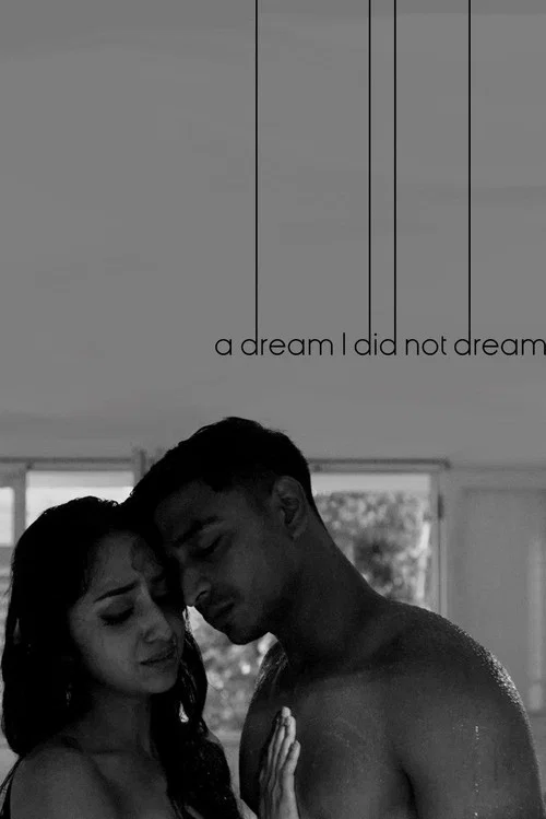 A Dream I Did Not Dream постер