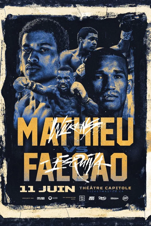 Wilkens Mathieu vs. Esquiva Falcao постер
