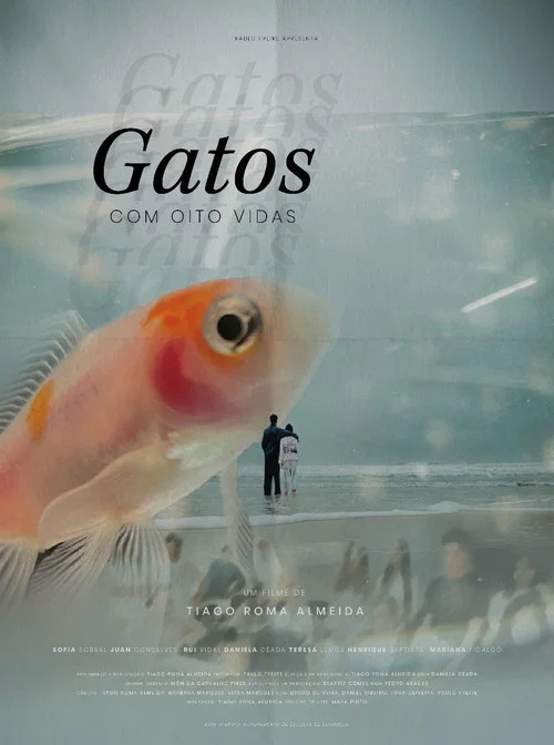 Gatos Com Oito Vidas постер