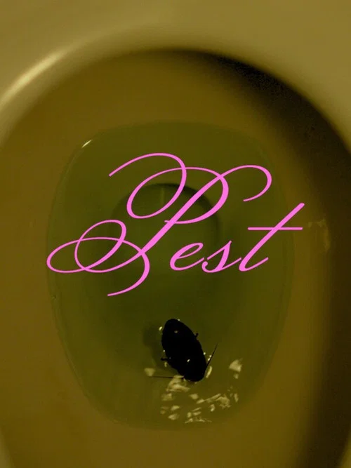 Pest постер