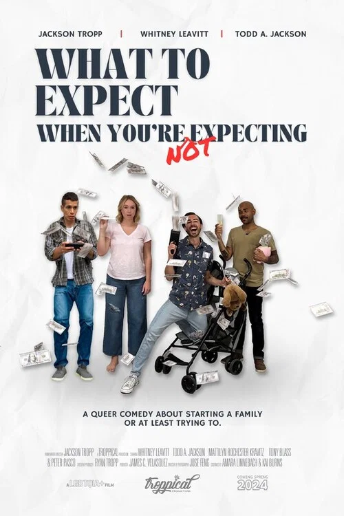 What to Expect When You're Not Expecting постер