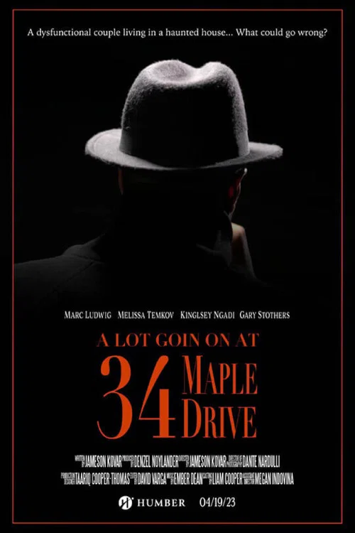 A Lot Going on at 34 Maple Drive постер