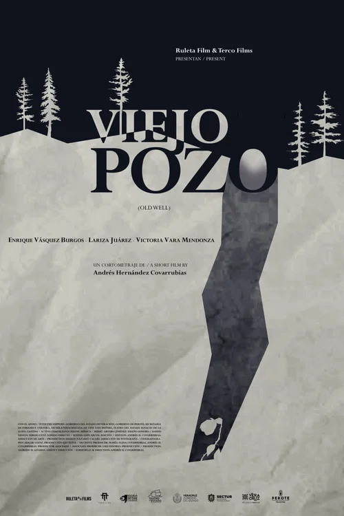 Viejo Pozo постер