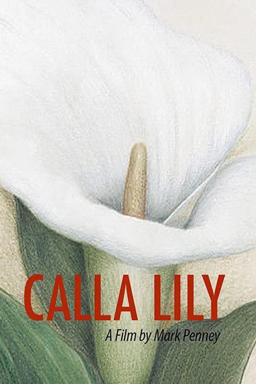 Calla Lily постер