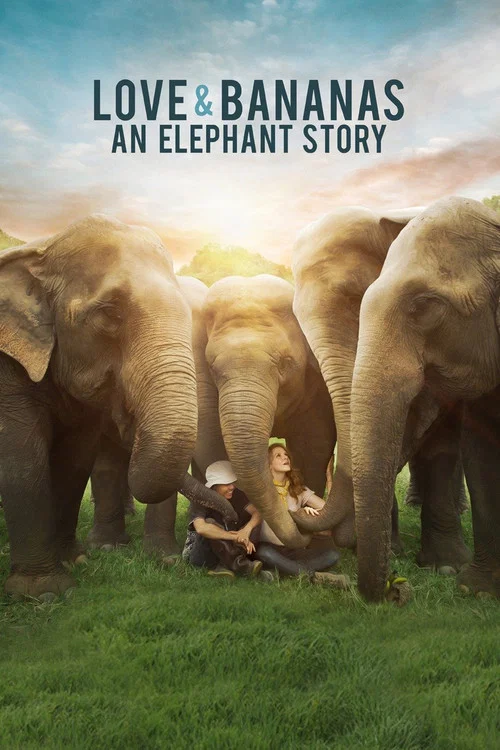 Love & Bananas: An Elephant Story постер
