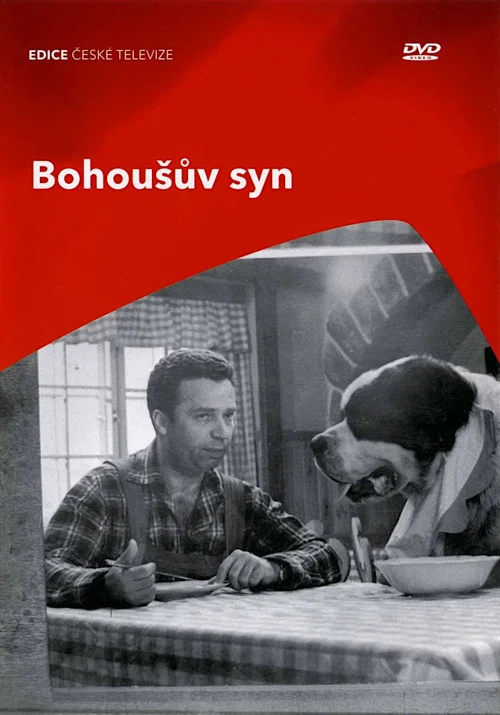 Bohoušův syn постер