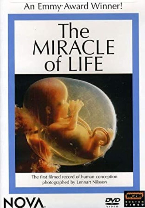The Miracle of Life постер