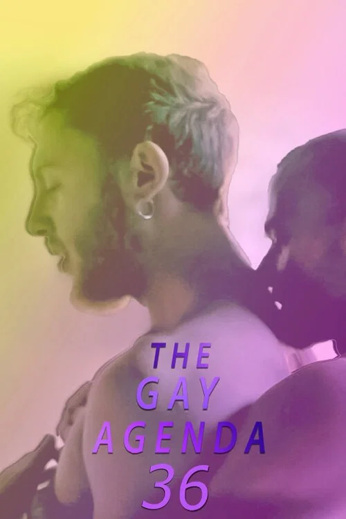 The Gay Agenda 36 постер