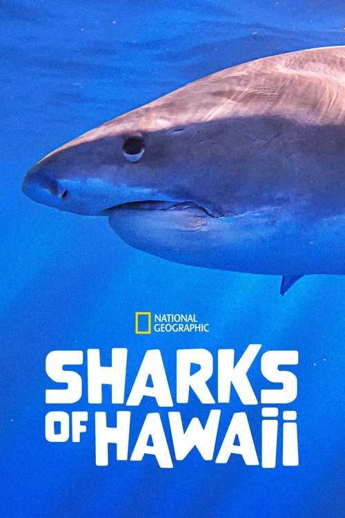Sharks of Hawaii постер
