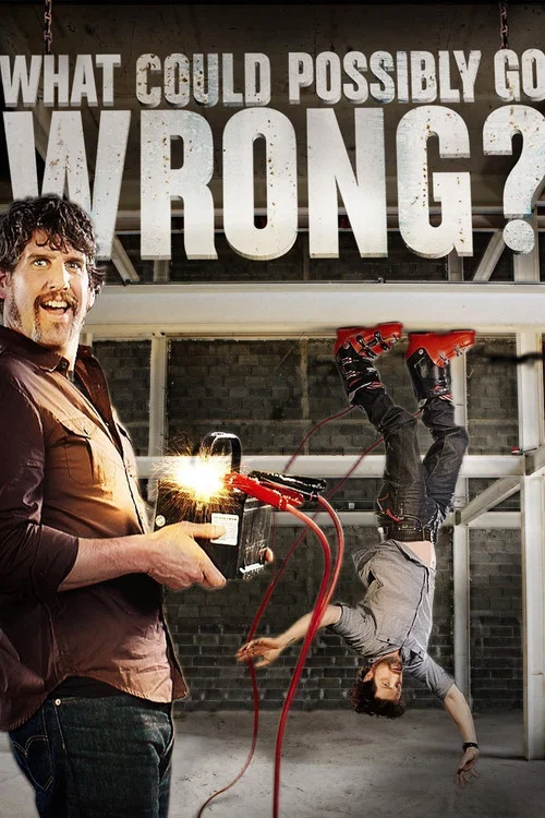 What Could Possibly Go Wrong? постер