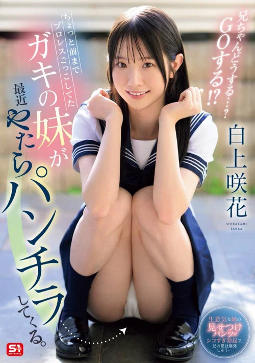 ちょっと前までプロレスごっこしてたガキの妹が最近やたらパンチラしてくる。兄ちゃんどうする・・・? GOする!? постер