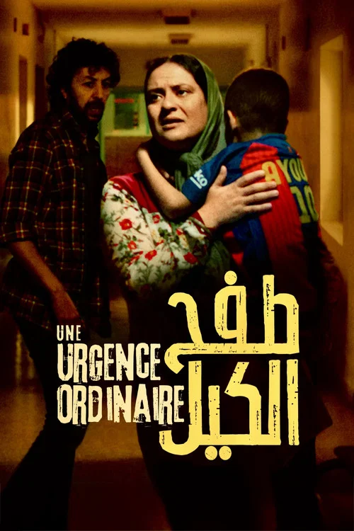 Une urgence ordinaire постер