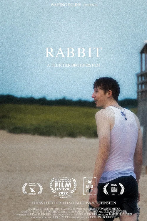 RABBIT постер