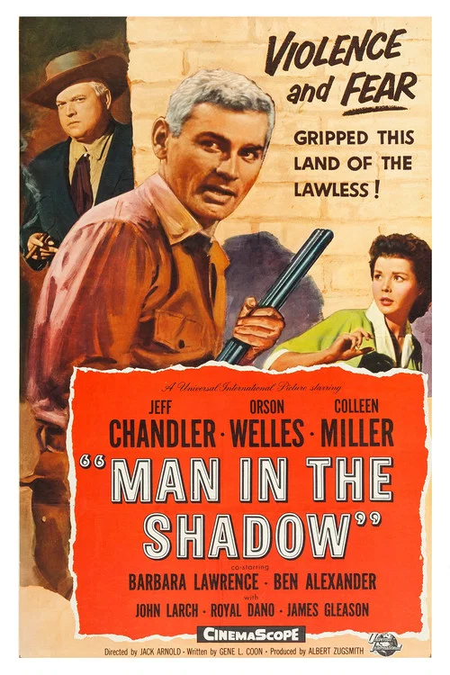 Man in the Shadow постер