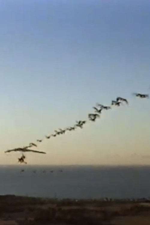 The Ultra Geese постер