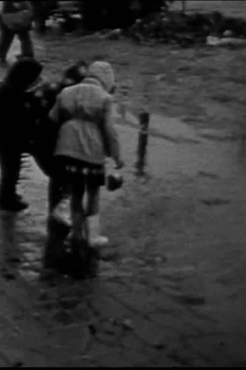 Found footage постер
