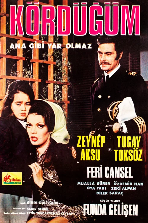 Kördüğüm постер
