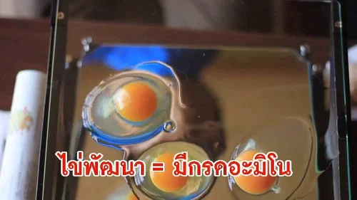 Эпизод 21