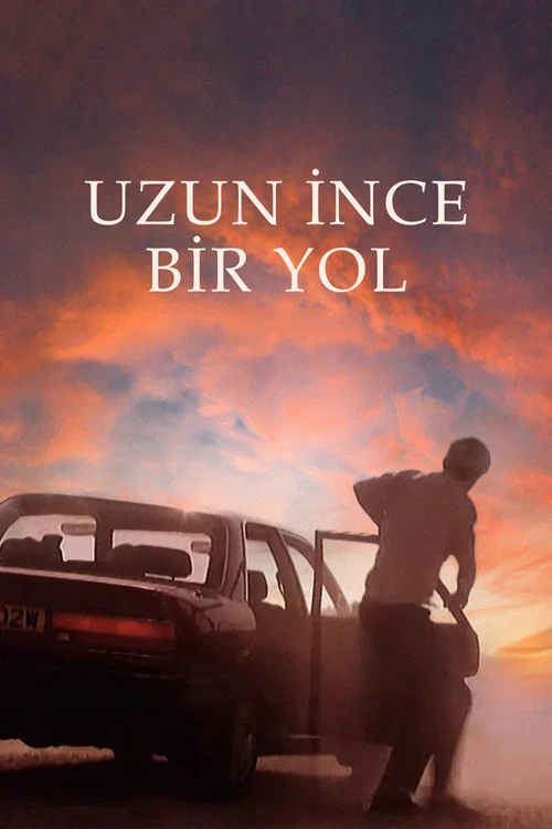 Uzun İnce Bir Yol постер