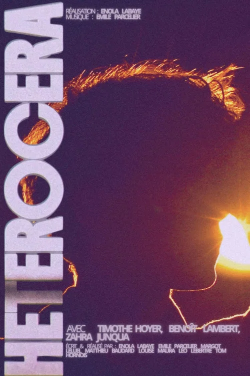 HETEROCERA постер