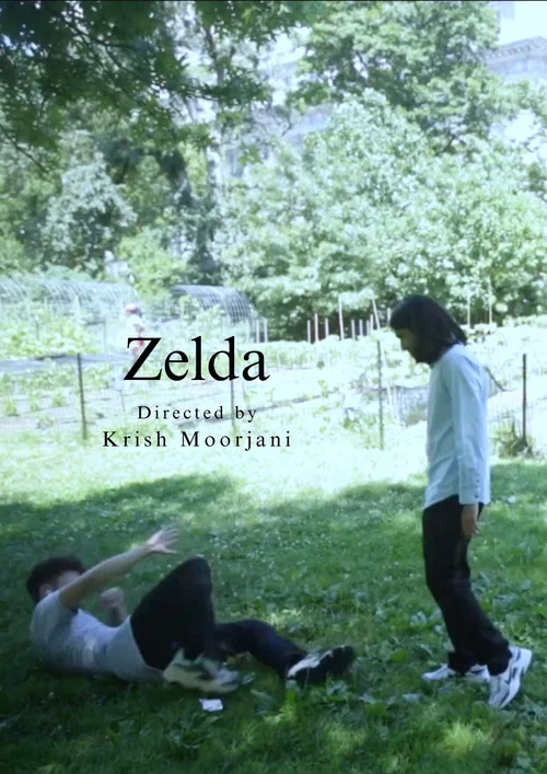 Zelda постер