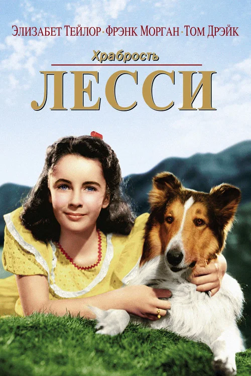 Храбрость Лесси постер