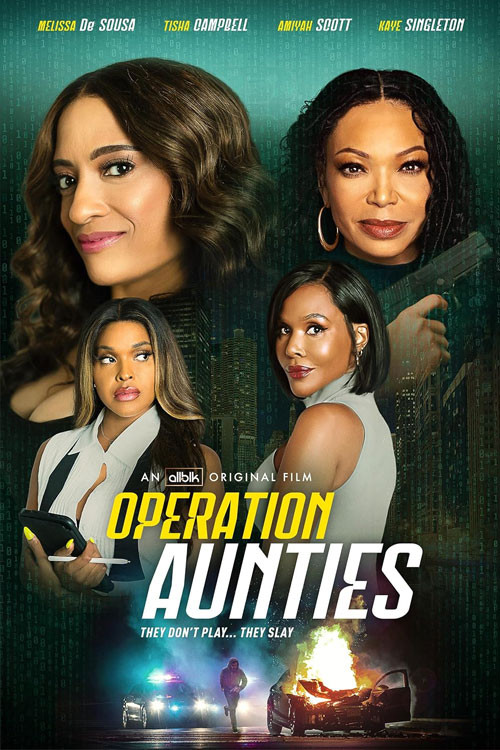 Operation: Aunties постер