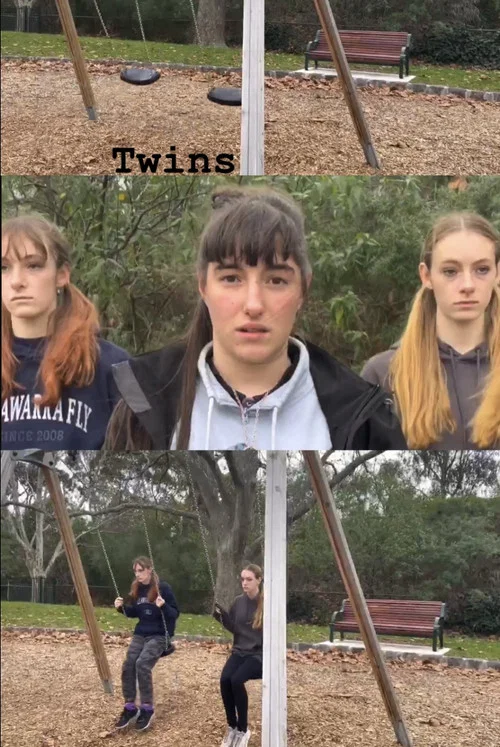Twins постер