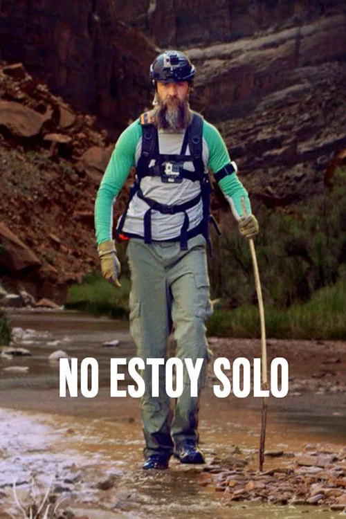 No estoy solo постер