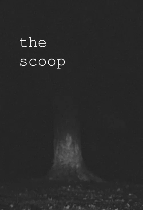 The Scoop постер