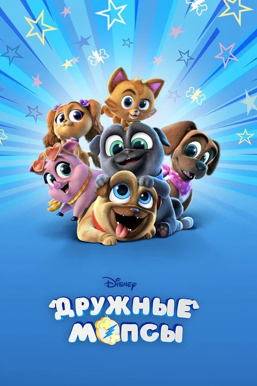 Дружные мопсы постер