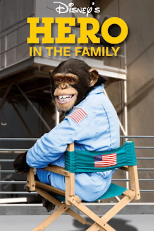 Hero in the Family постер