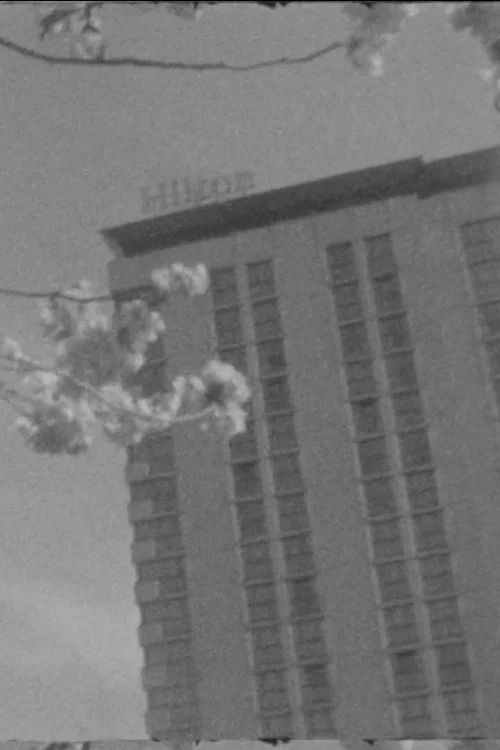S. for L. постер