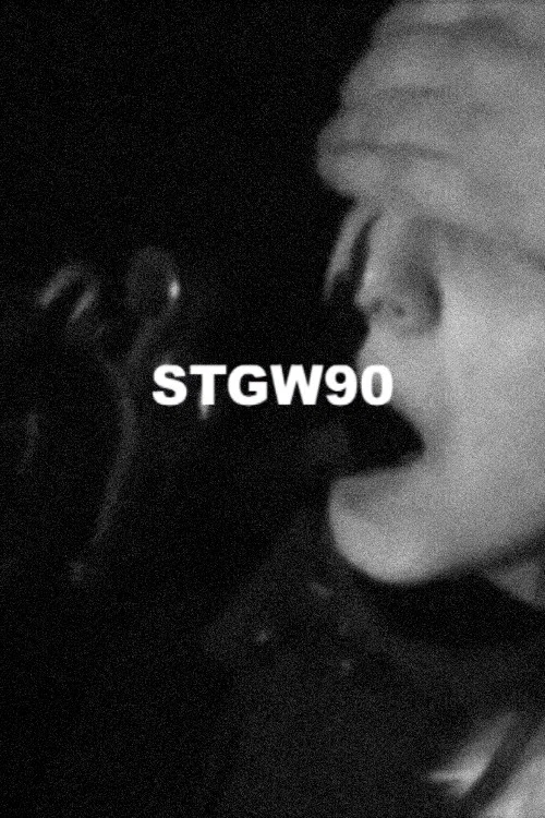 STGW90 постер