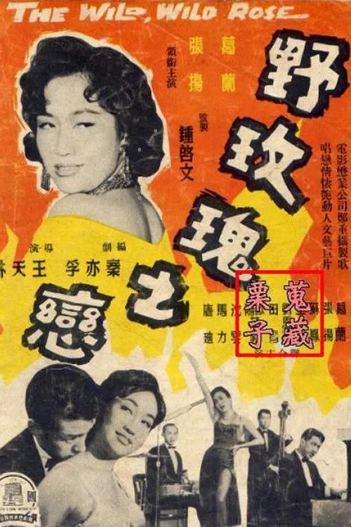 野玫瑰之戀 постер