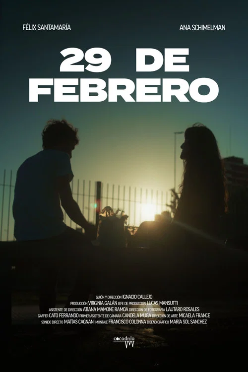 29 de febrero постер